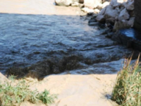 Un fiume di fango terrorizza la costa molisana